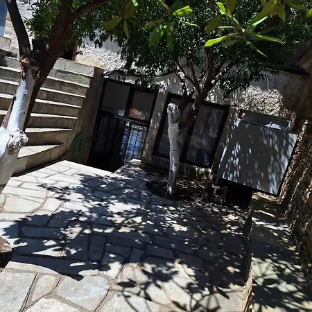 Sofia's House * Afissos